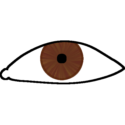  Simple drawing of a brown eye.